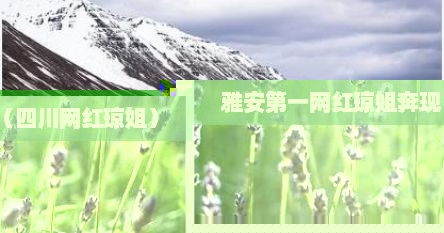 雅安第一网红琼姐奔现（四川网红琼姐）
