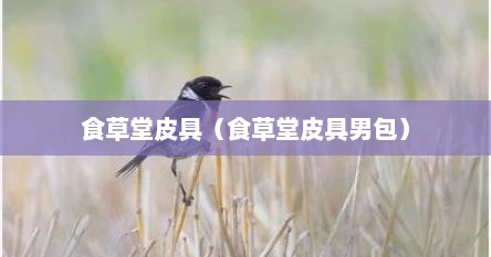 食草堂皮具（食草堂皮具男包）