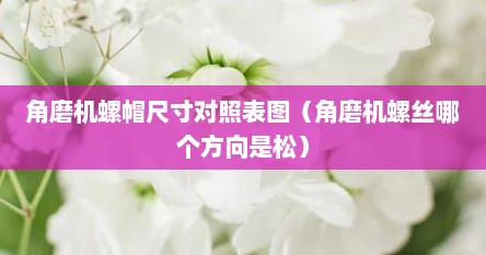 角磨机螺帽尺寸对照表图（角磨机螺丝哪个方向是松）