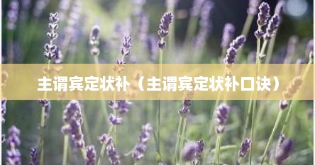 主谓宾定状补（主谓宾定状补口诀）