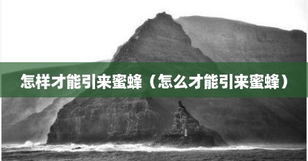 怎样才能引来蜜蜂（怎么才能引来蜜蜂）
