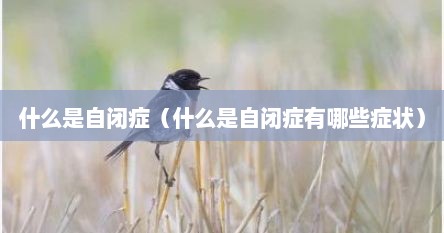 什么是自闭症（什么是自闭症有哪些症状）