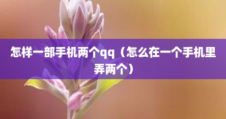 怎样一部手机两个qq（怎么在一个手机里弄两个）