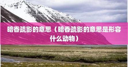 暗香疏影的意思（暗香疏影的意思是形容什么动物）