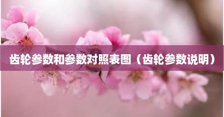 齿轮参数和参数对照表图（齿轮参数说明）
