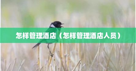 怎样管理酒店（怎样管理酒店人员）