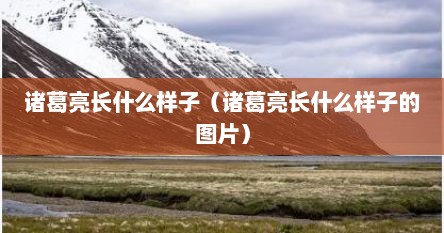 诸葛亮长什么样子（诸葛亮长什么样子的图片）