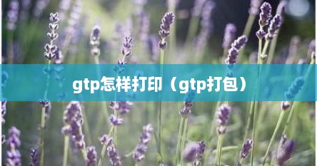 gtp怎样打印（gtp打包）