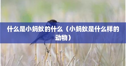 什么是小蚂蚁的什么（小蚂蚁是什么样的动物）
