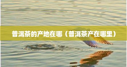 普洱茶的产地在哪（普洱茶产在哪里）