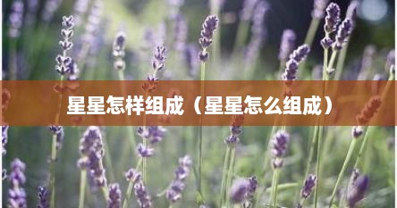 星星怎样组成（星星怎么组成）