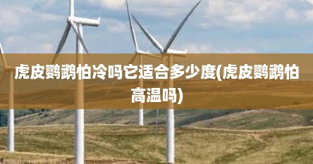 虎皮鹦鹉怕冷吗它适合多少度(虎皮鹦鹉怕高温吗)