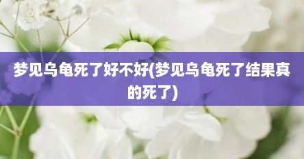 梦见乌龟死了好不好(梦见乌龟死了结果真的死了)