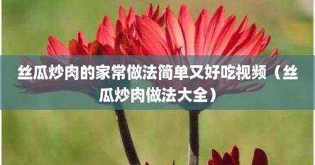 丝瓜炒肉的家常做法简单又好吃视频（丝瓜炒肉做法大全）