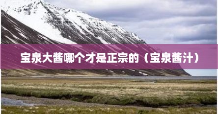 宝泉大酱哪个才是正宗的(宝泉酱汁)