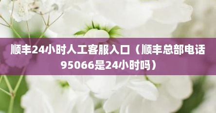 顺丰24小时人工客服入口（顺丰总部电话95066是24小时吗）