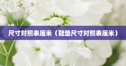 尺寸对照表厘米（鞋垫尺寸对照表厘米）
