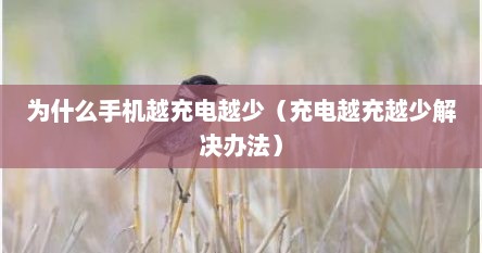 为什么手机越充电越少（充电越充越少解决办法）