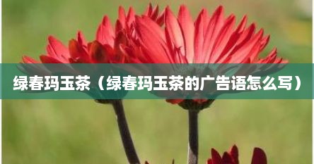 绿春玛玉茶（绿春玛玉茶的广告语怎么写）