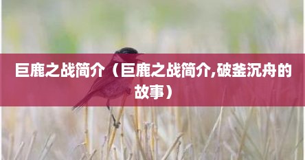 巨鹿之战的故事简单概括（巨鹿之战的故事简介）