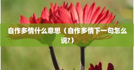 自作多情什么意思（自作多情下一句怎么说?）