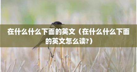在什么什么下面的英文（在什么什么下面的英文怎么读?）