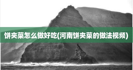 饼夹菜怎么做好吃(河南饼夹菜的做法视频)