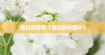 奇幻咔咔熊（奇幻咔咔图片）