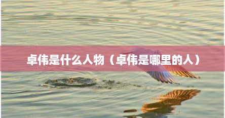 卓伟是什么人物（卓伟是哪里的人）