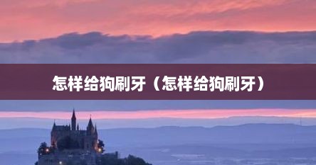 怎样给狗刷牙（怎样给狗刷牙）