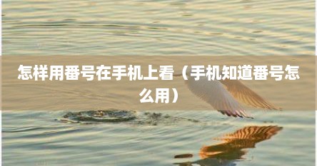 怎样用番号在手机上看（手机知道番号怎么用）