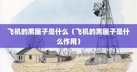飞机的黑匣子是什么（飞机的黑匣子是什么作用）