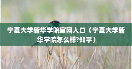 宁夏大学新华学院官网入口（宁夏大学新华学院怎么样?知乎）
