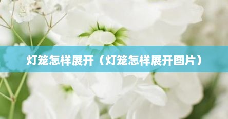灯笼怎样展开（灯笼怎样展开图片）
