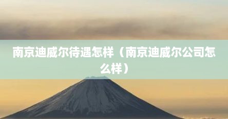 南京迪威尔待遇怎样（南京迪威尔公司怎么样）