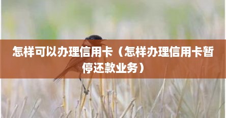 信用卡怎么办理暂停还款（广发信用卡逾期暂停使用怎么还款）