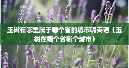 玉树在哪里属于哪个省的城市呢英语（玉树在哪个省哪个城市）