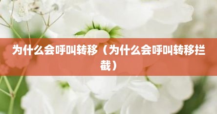 为什么会呼叫转移（为什么会呼叫转移拦截）