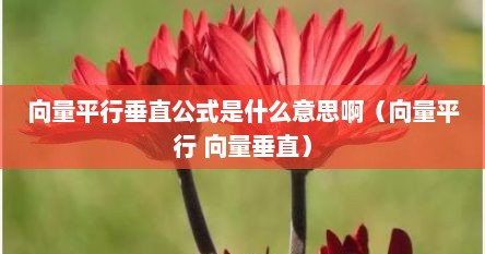 向量平行垂直公式是什么意思啊（向量平行 向量垂直）