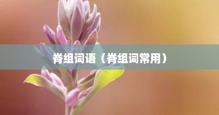 脊组词语（脊组词常用）