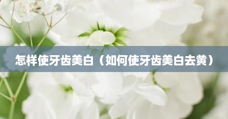 怎样使牙齿美白（如何使牙齿美白去黄）