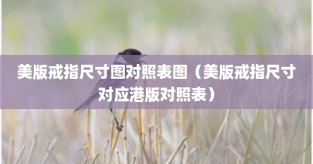 美版戒指尺寸图对照表图(美版戒指尺寸对应港版对照表) 美版戒指尺寸图对照表图(美版戒指尺寸对应港版对照表)