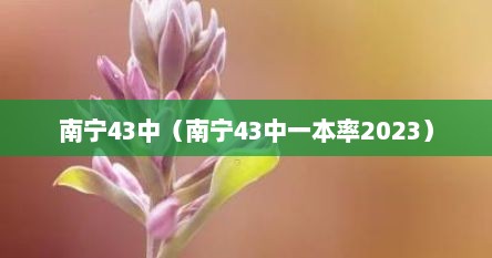 南宁43中（南宁43中一本率2023）