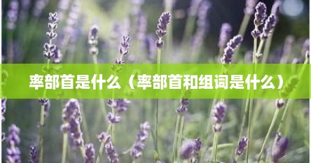 率部首是什么（率部首和组词是什么）