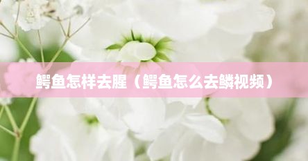 鳄鱼怎样去腥（鳄鱼怎么去鳞视频）
