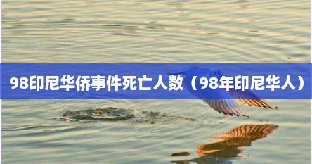 98印尼华侨事件死亡人数（98年印尼华人）