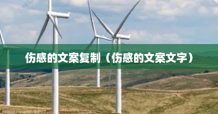 伤感的文案复制（伤感的文案文字）