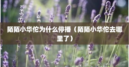 陌陌小华佗为什么停播（陌陌小华佗去哪里了）