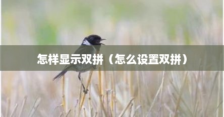 怎样显示双拼（怎么设置双拼）