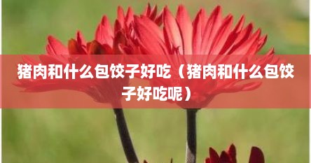 猪肉和什么包饺子好吃（猪肉和什么包饺子好吃呢）